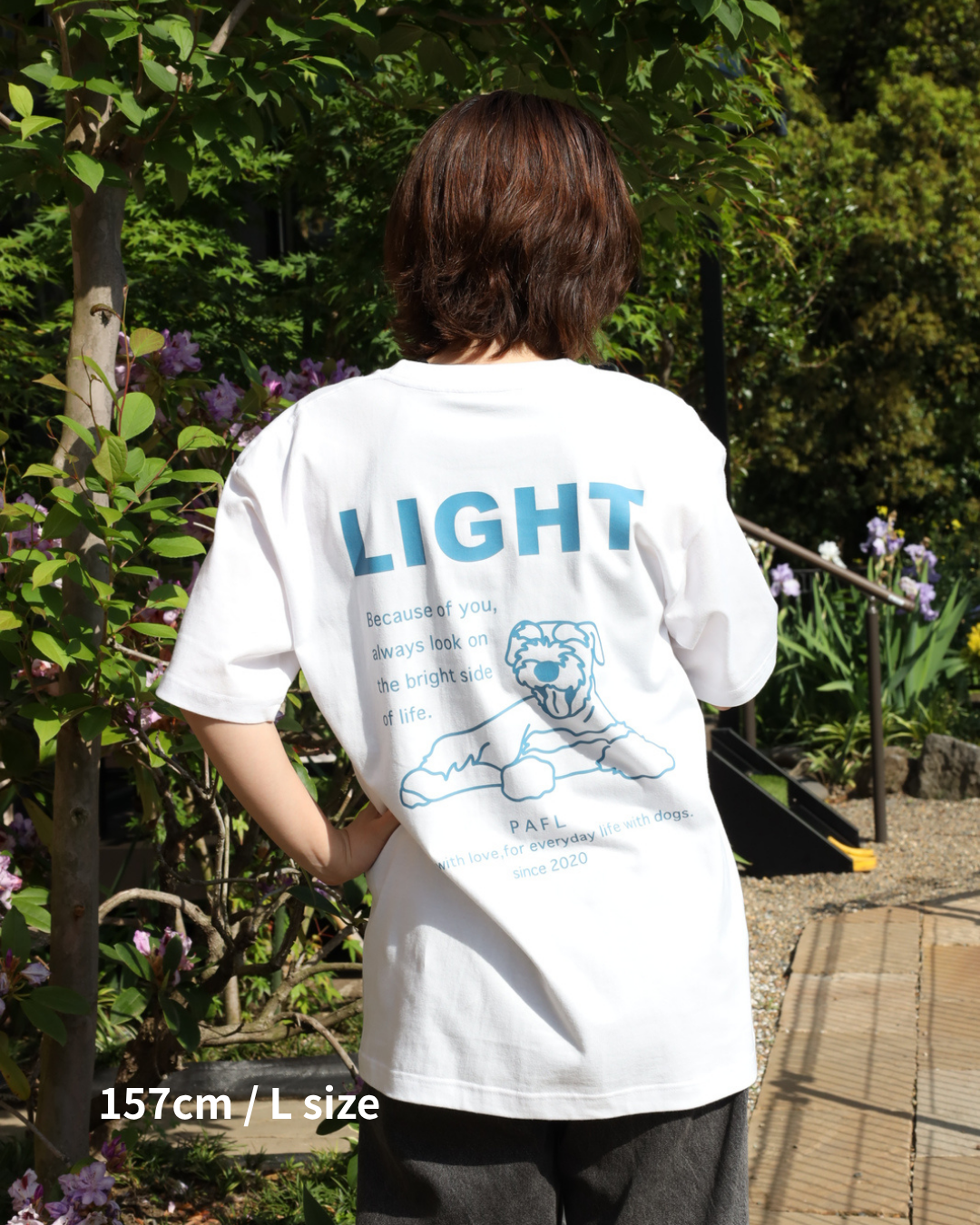スタンダードTシャツ