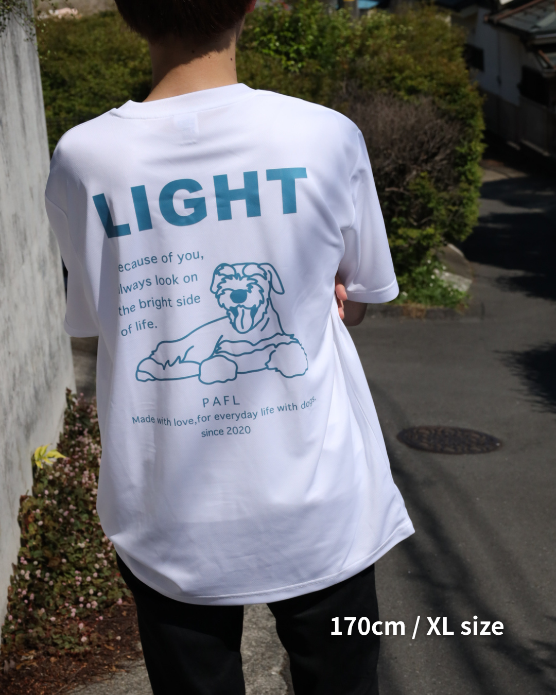 ドライTシャツ