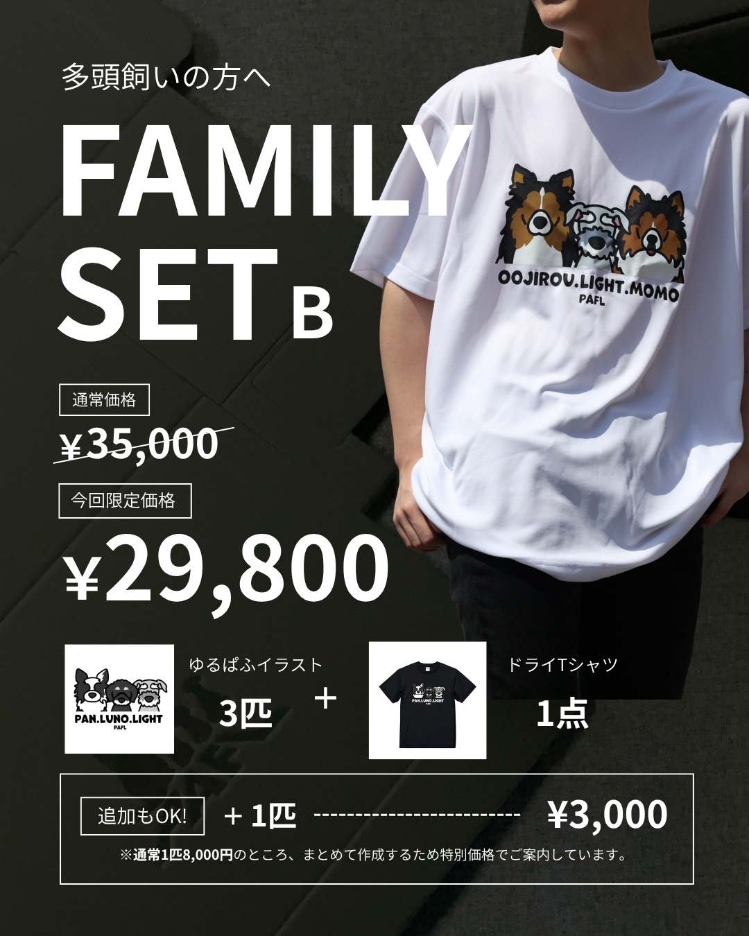 FAMILY SET B / ゆるぱふタイプ