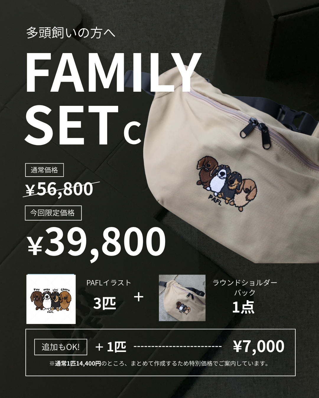 FAMILY SET C / PAFLタイプ