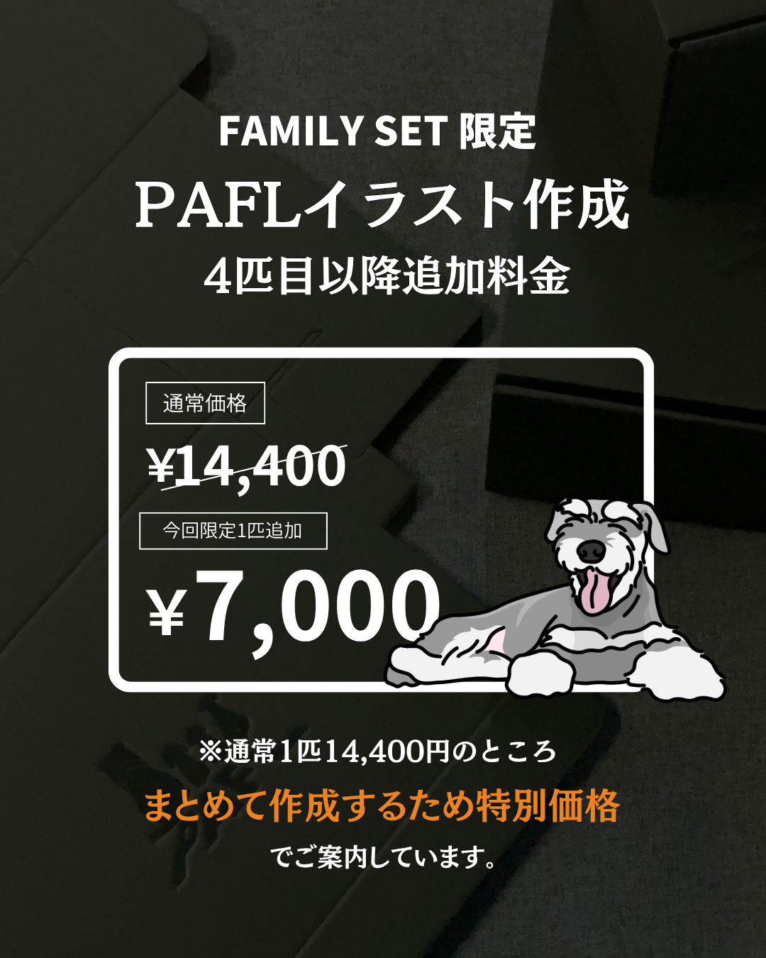 FAMILY SET C / PAFLタイプ