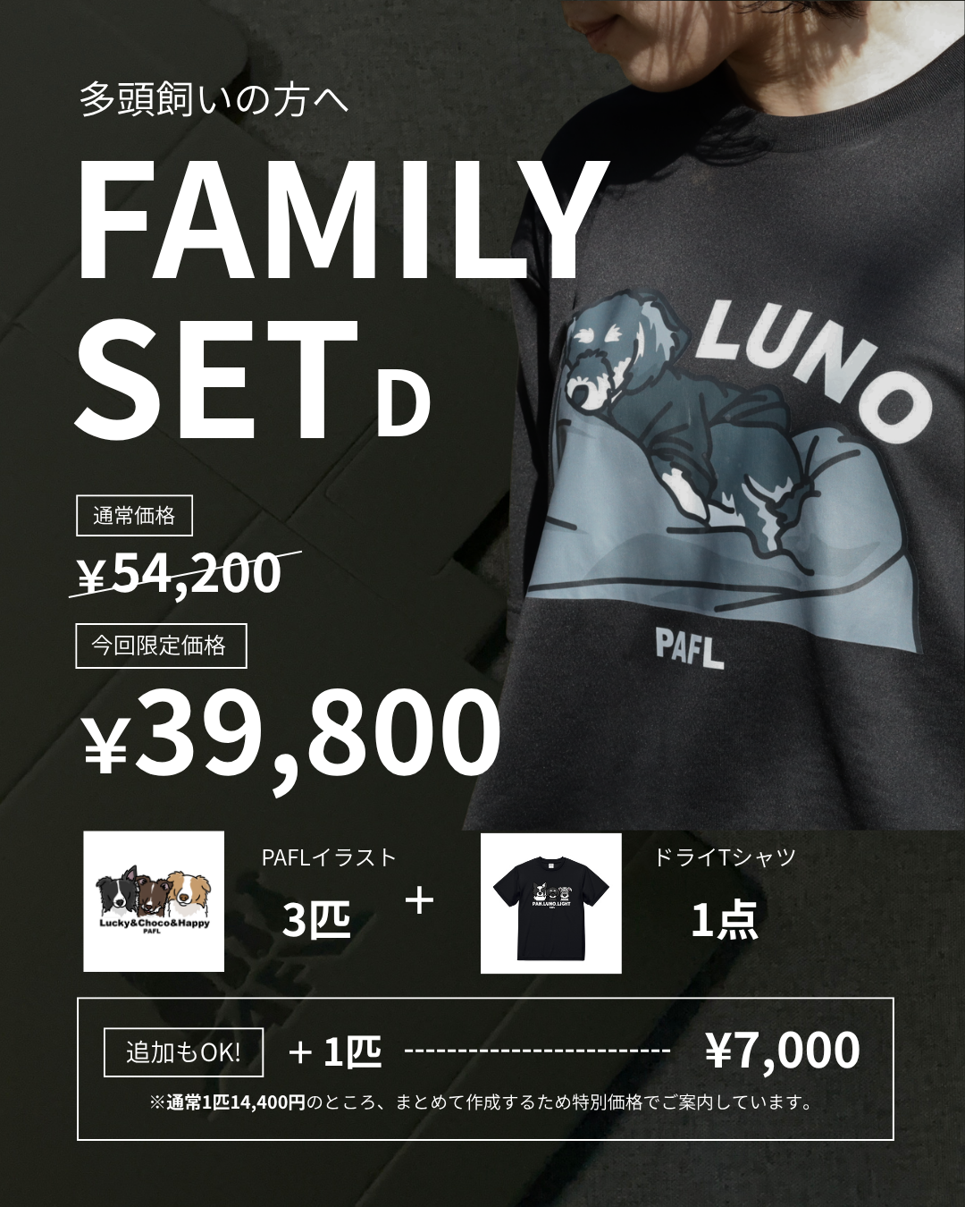 FAMILY SET D / PAFLタイプ