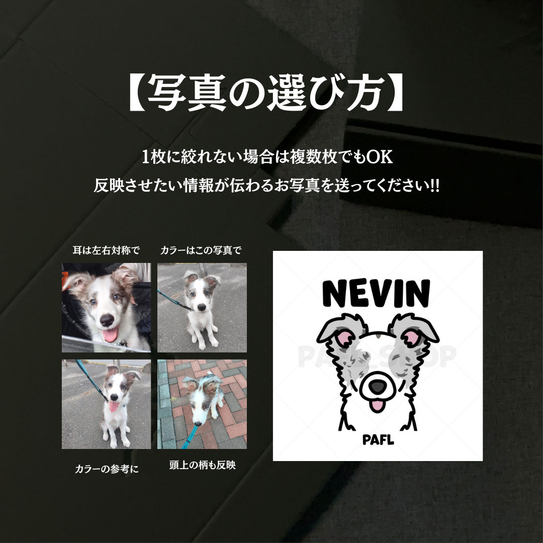 【イラスト作成料金】ゆるぱふおすわり（セミオーダー）