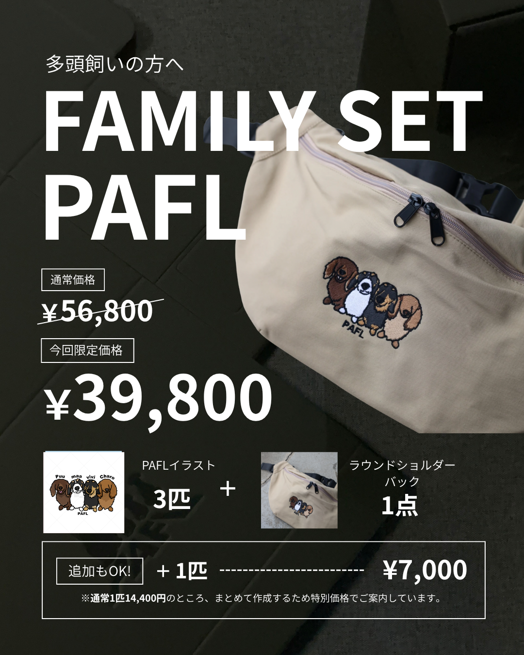 【PAFL】FAMILY SET