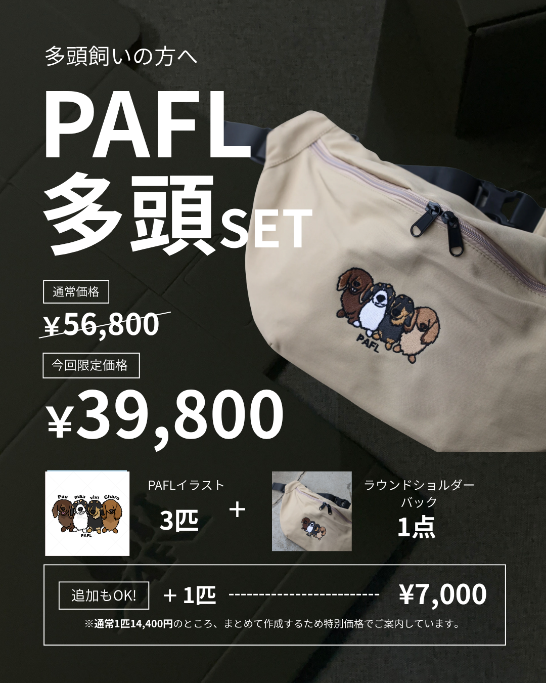 PAFL多頭SET(3匹〜