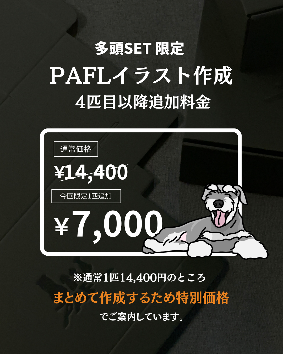 PAFL多頭SET(3匹〜