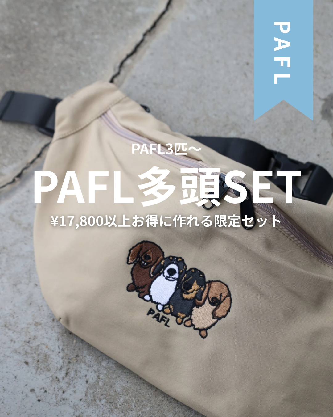PAFL多頭SET(3匹〜