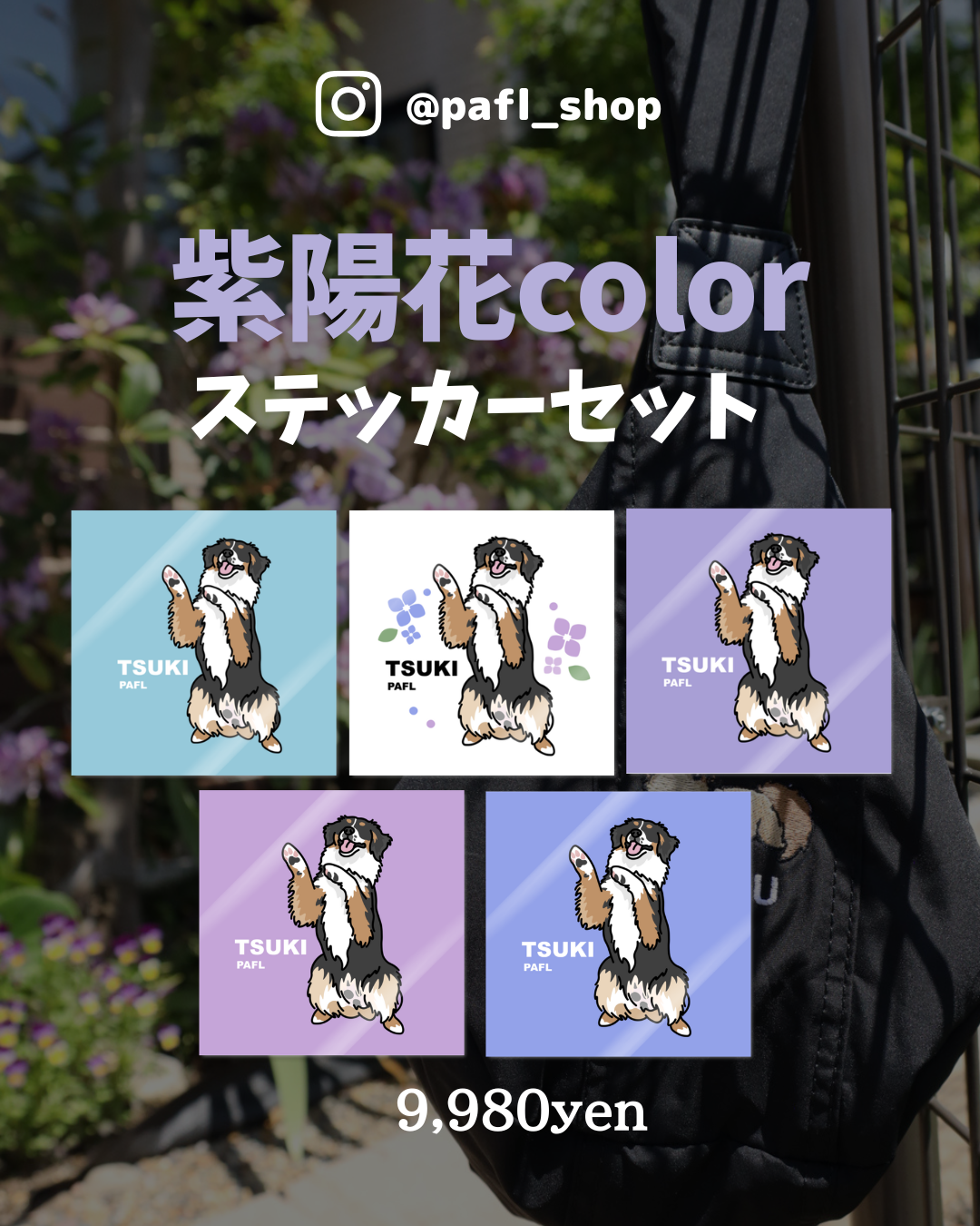 紫陽花 colorステッカーセット(正方形タイプ ）